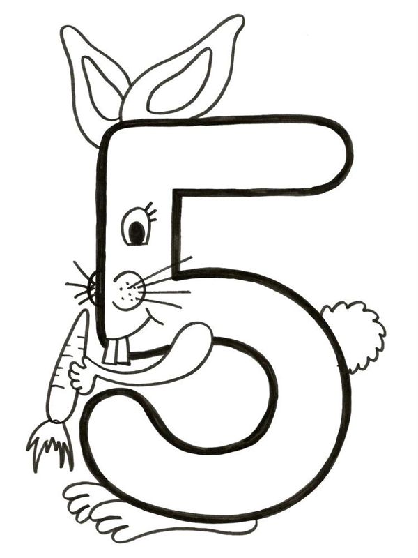 Cifra 5