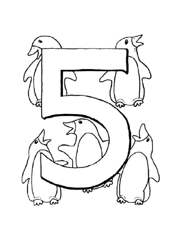 Cifra 5