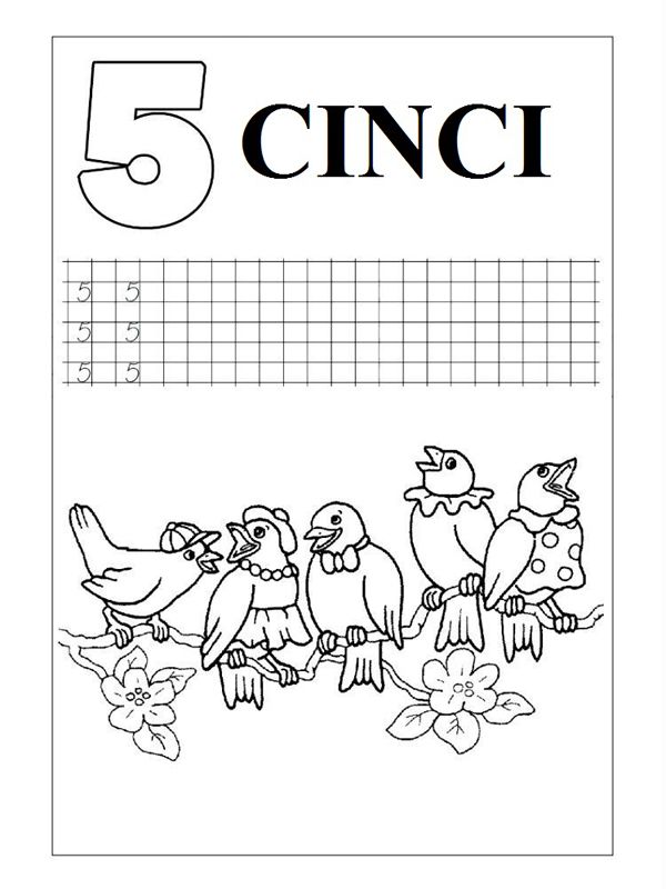 Cifra 5