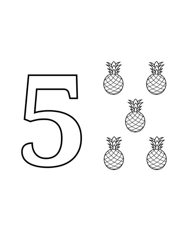 Cifra 5