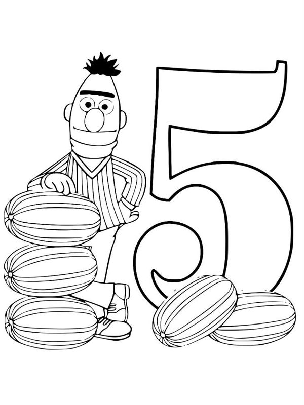 Cifra 5