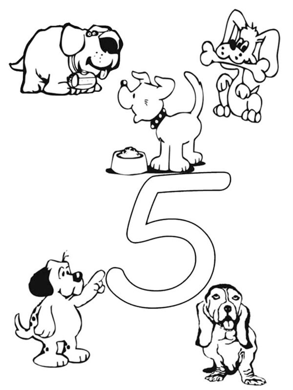 Cifra 5