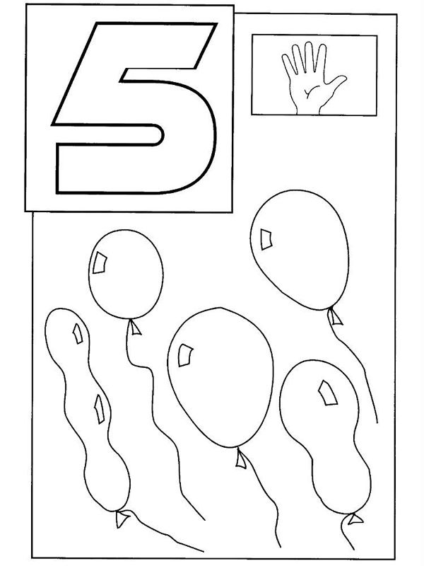Cifra 5