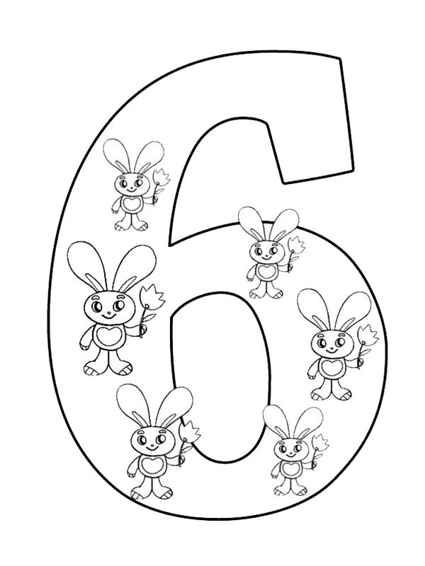 Cifra 6