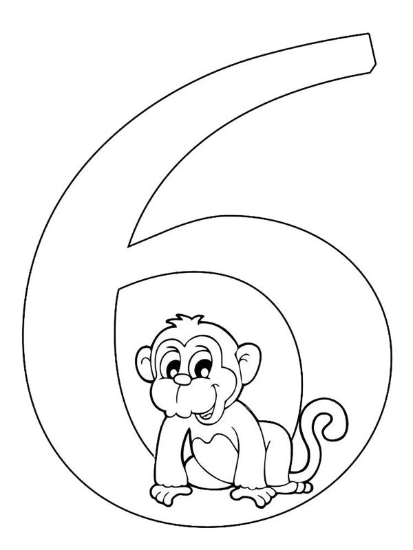 Cifra 6
