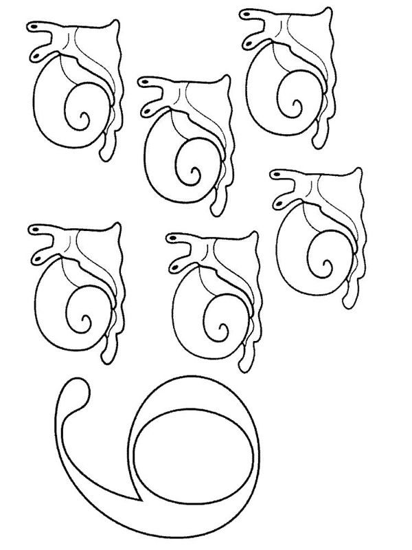 Cifra 6
