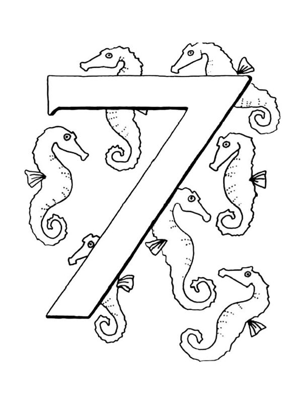 Cifra 7