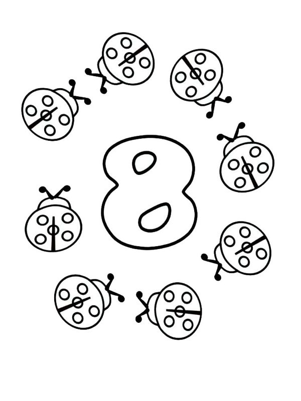 Cifra 8