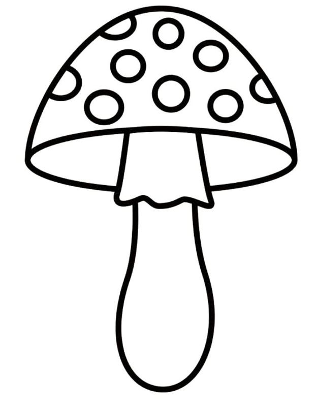 Ciuperci