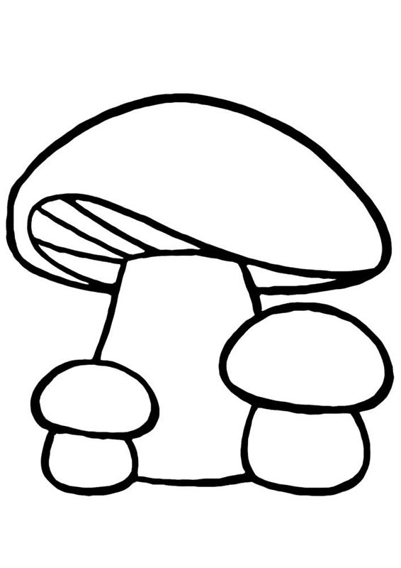 Ciuperci