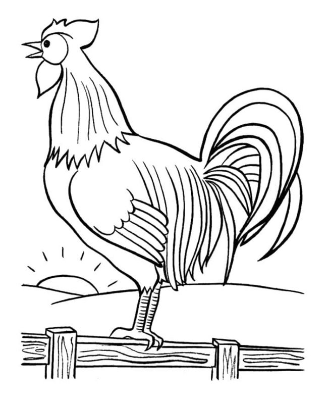 Cocosi