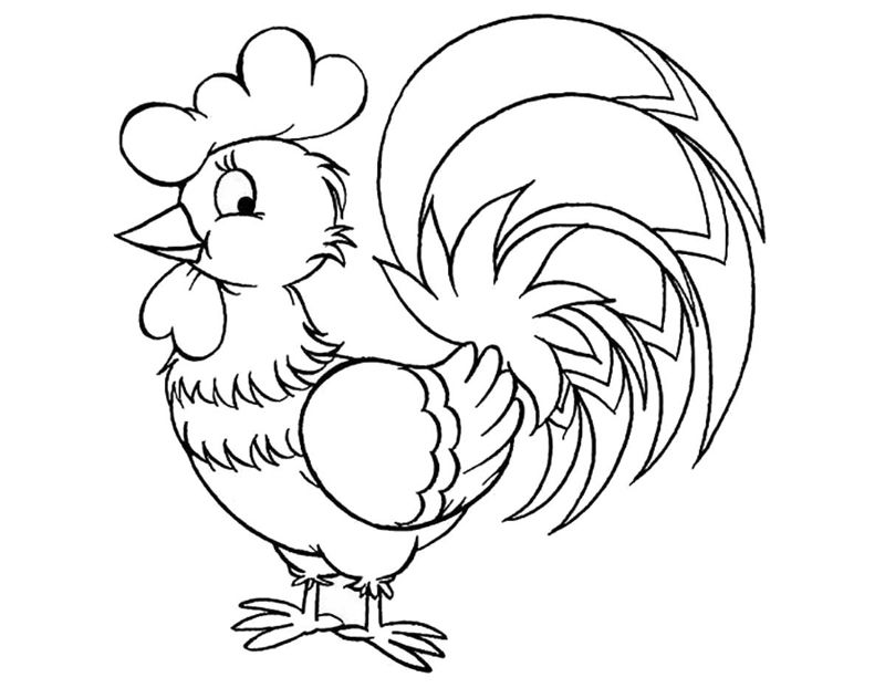 Cocosi
