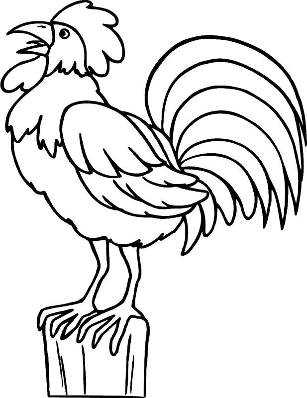 Cocosi