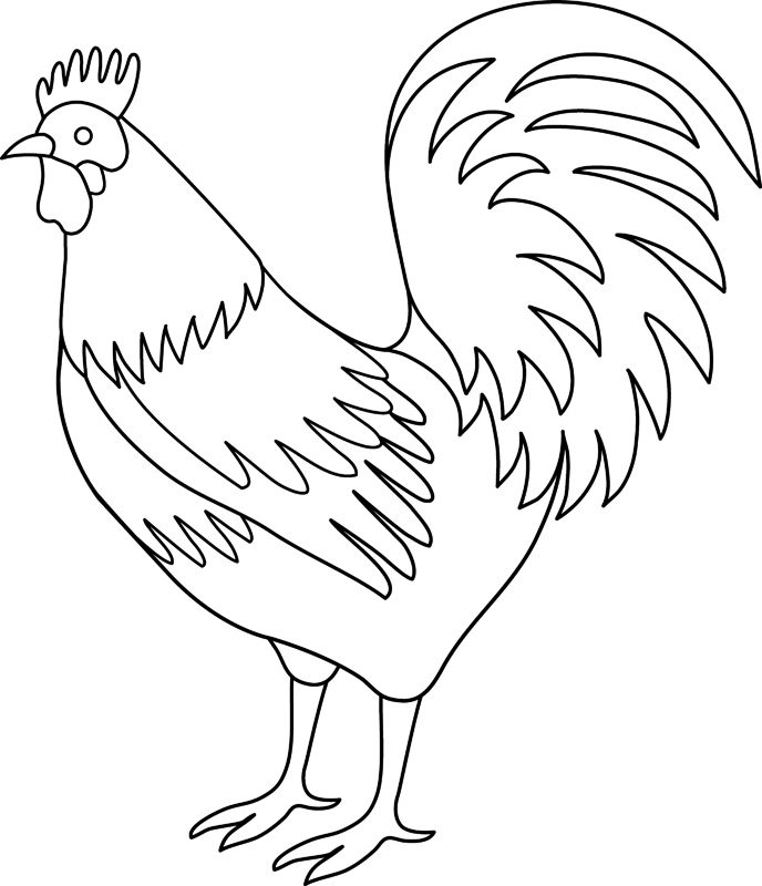 Cocosi