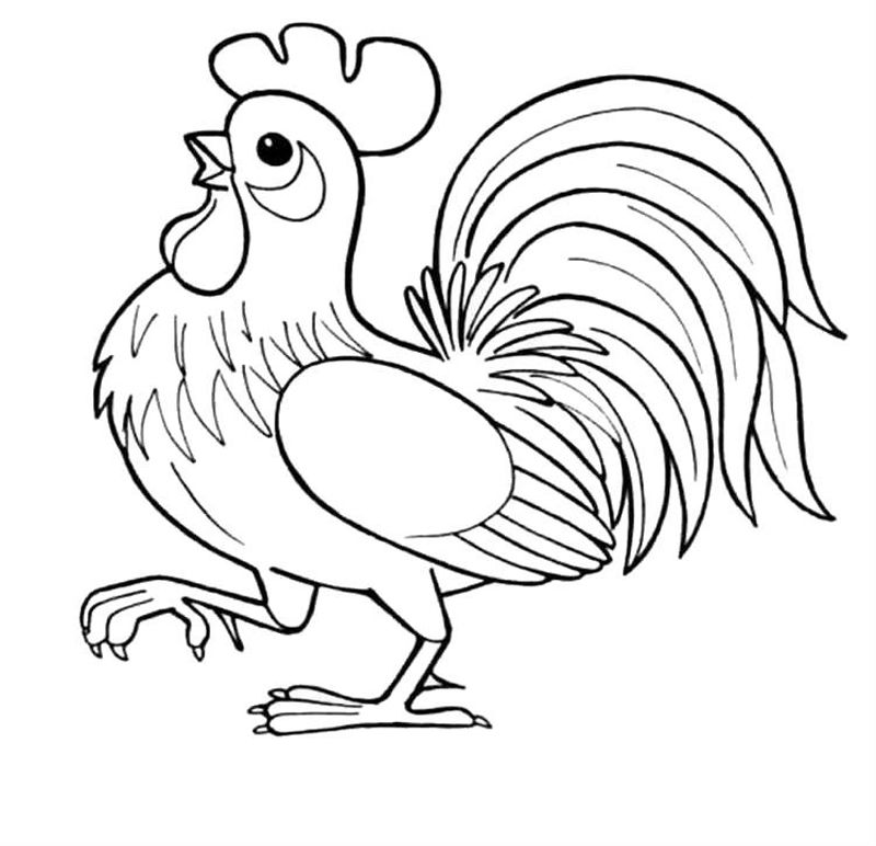 Cocosi