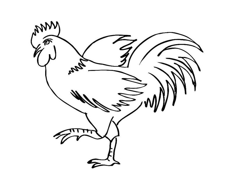 Cocosi
