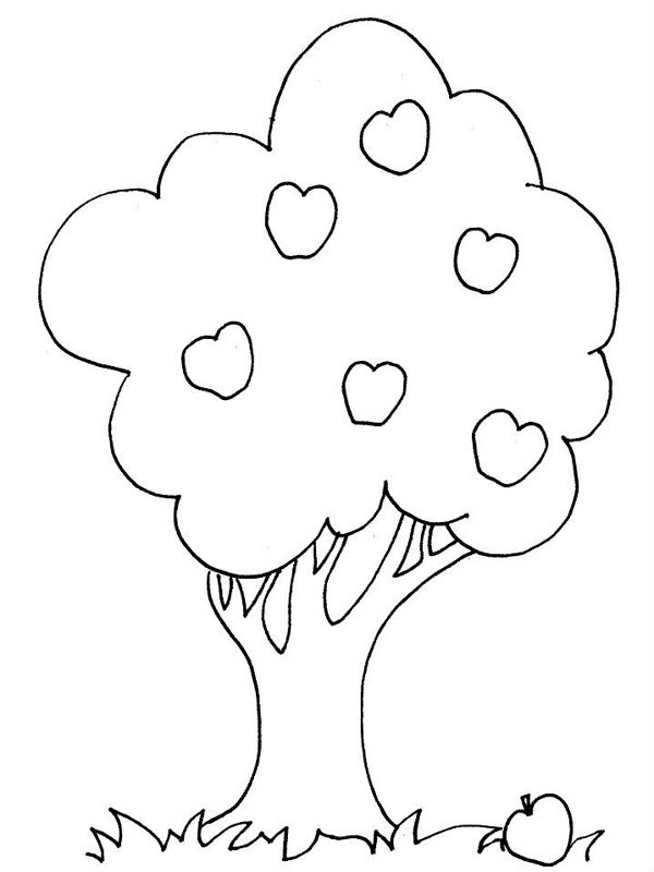 Copaci