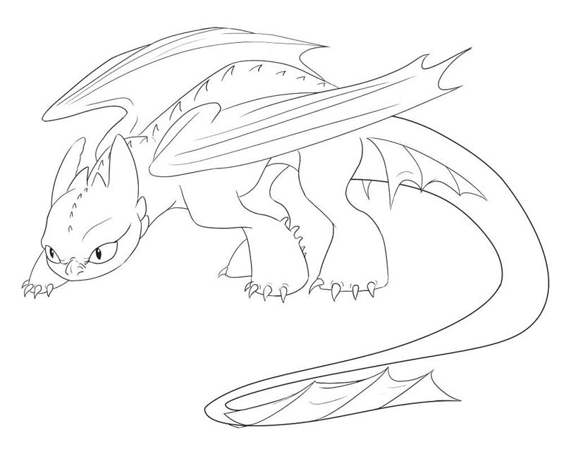Cum sa iti dresezi dragonul