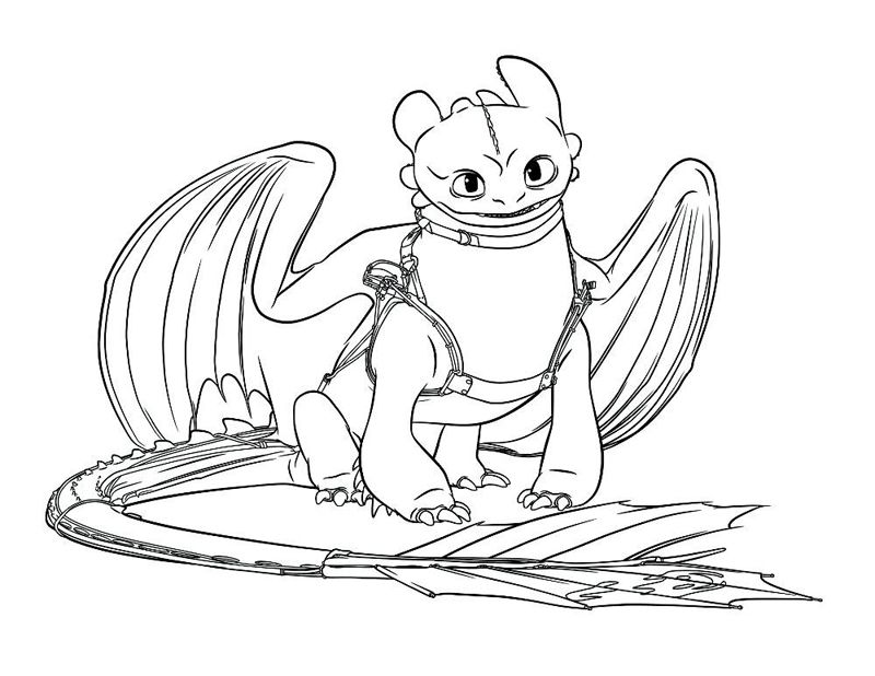 Cum sa iti dresezi dragonul