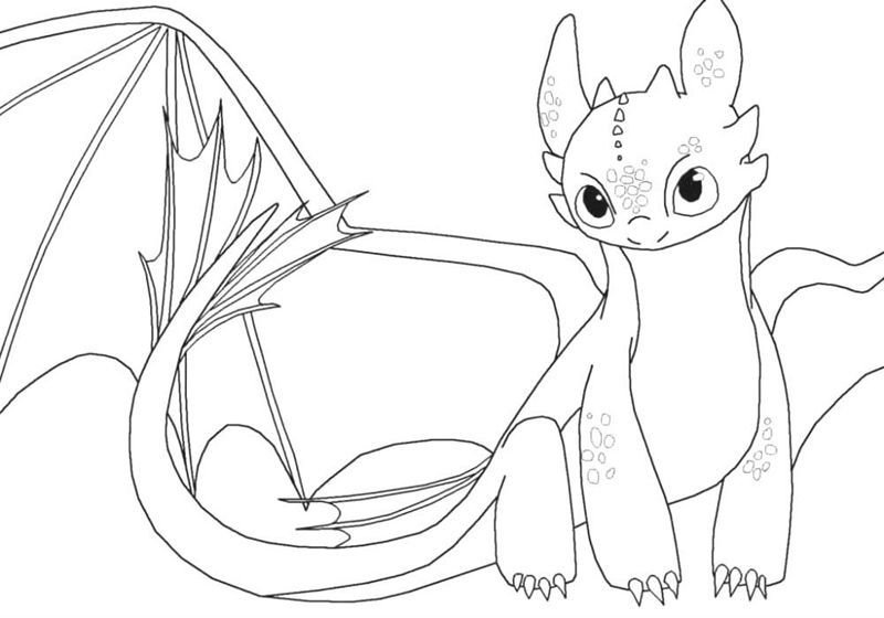 Cum sa iti dresezi dragonul