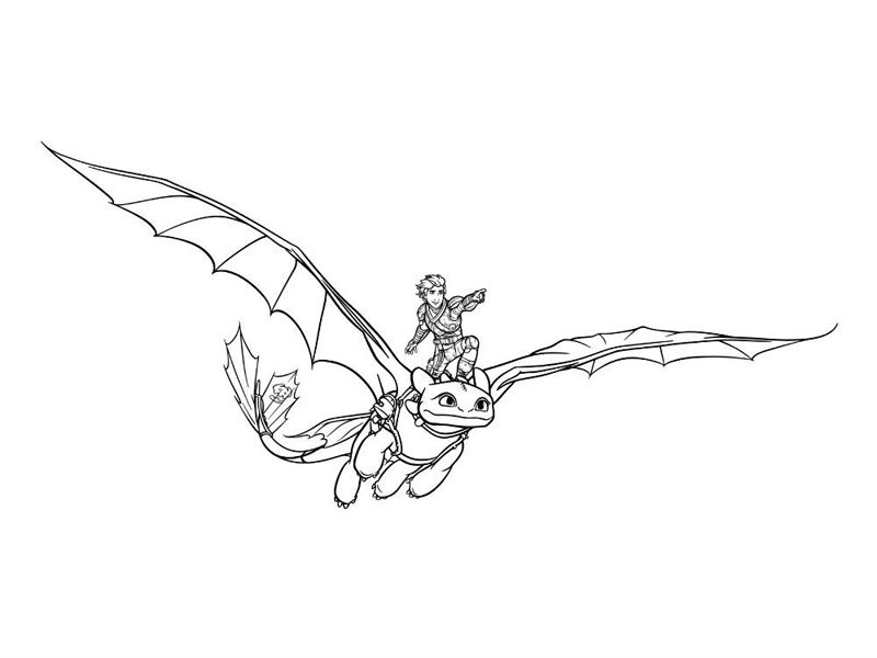 Cum sa iti dresezi dragonul