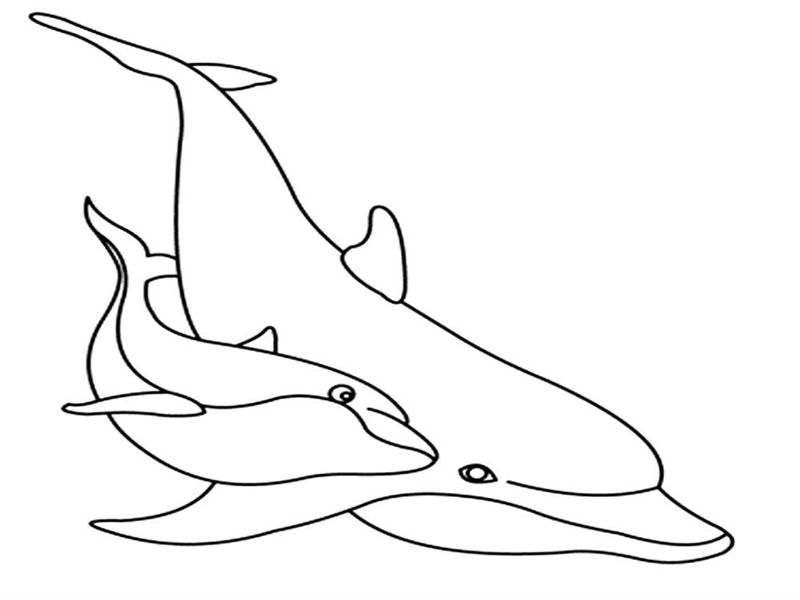 Delfini