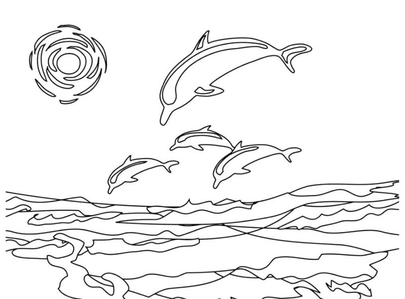 Delfini