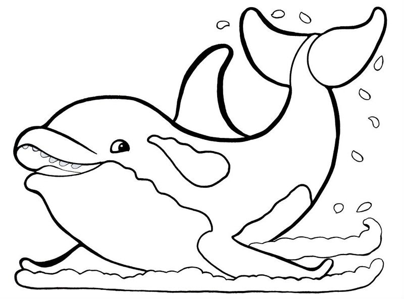 Delfini