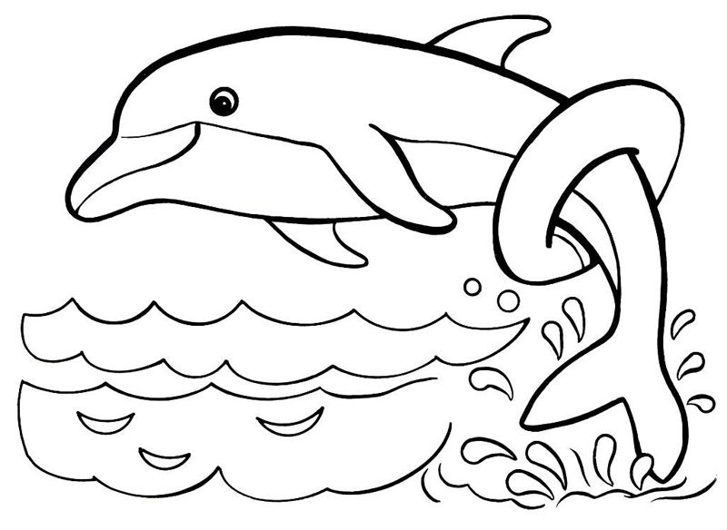 Delfini