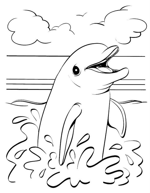 Delfini