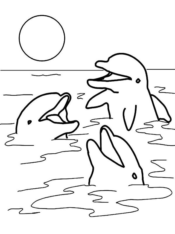 Delfini