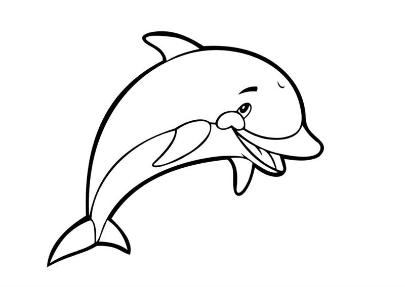 Delfini