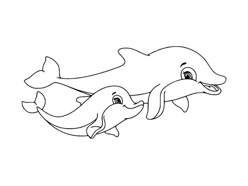 Delfini