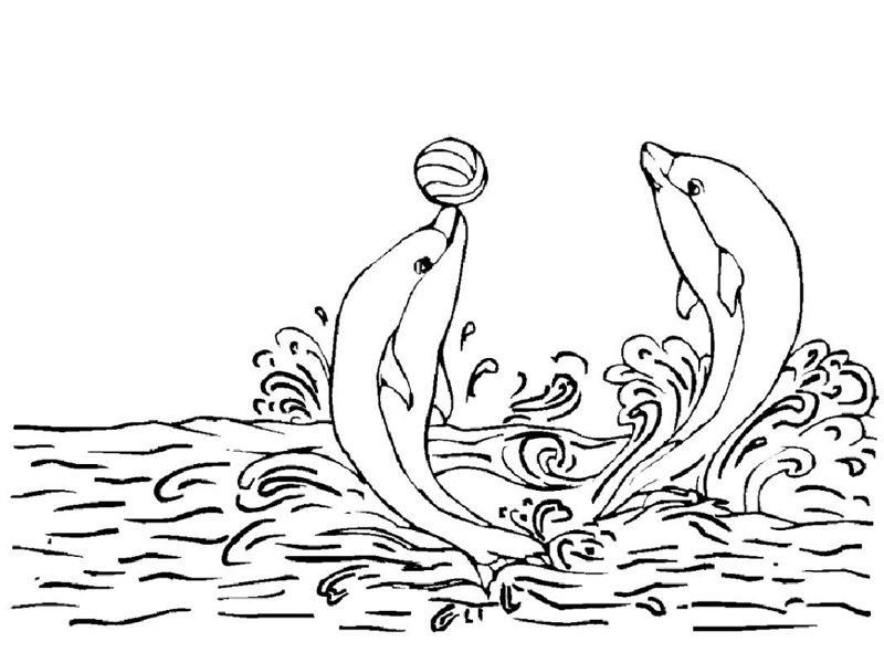 Delfini