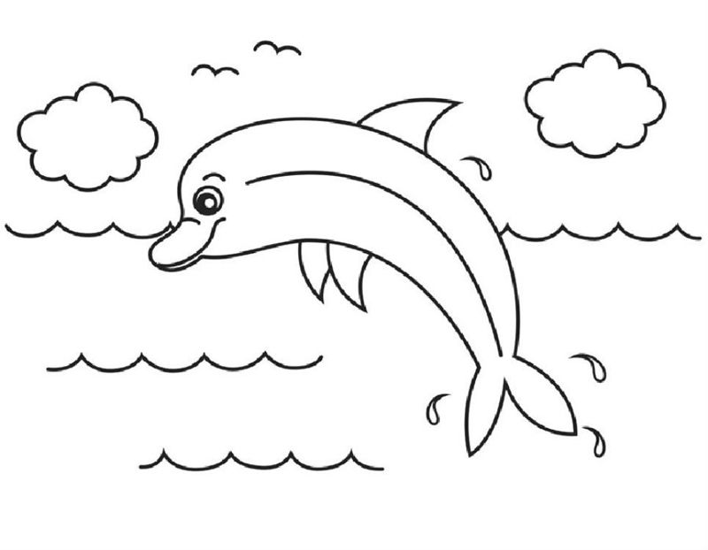 Delfini