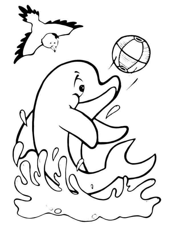 Delfini