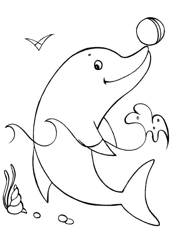Delfini