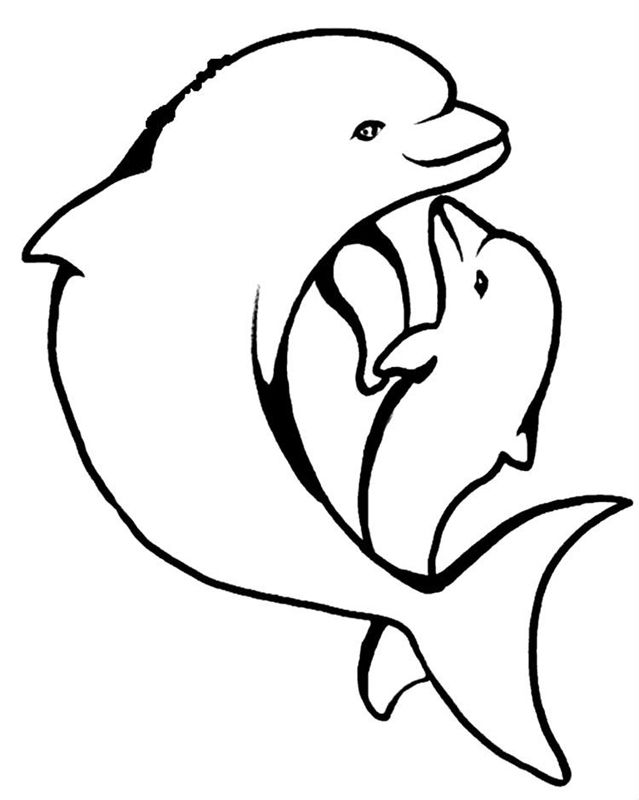 Delfini