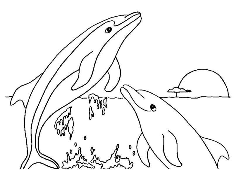 Delfini