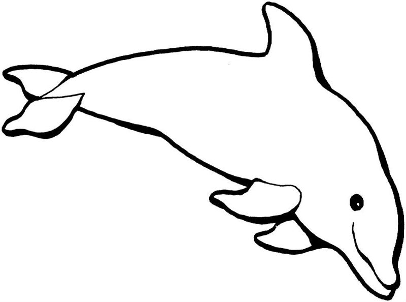 Delfini