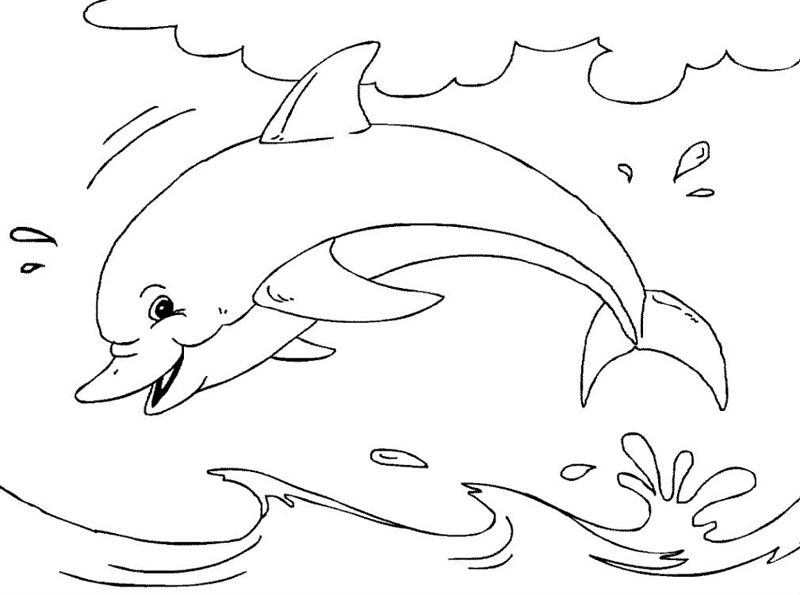 Delfini