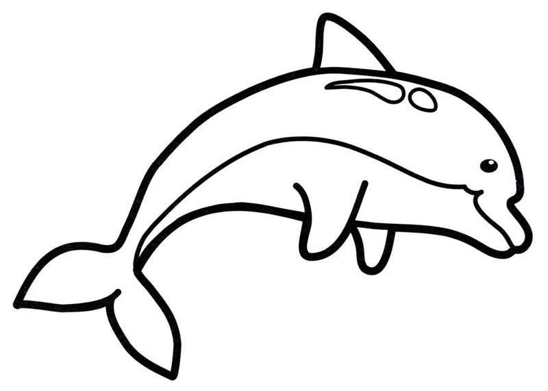 Delfini