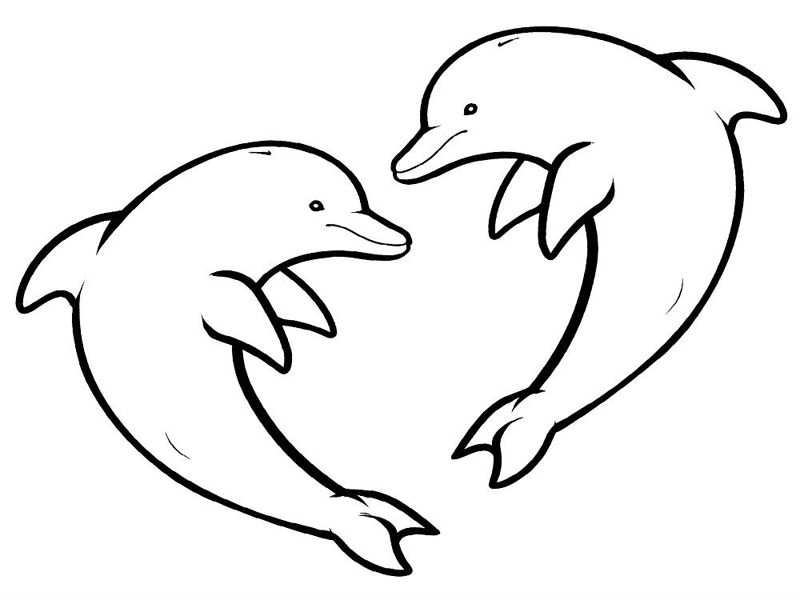 Delfini