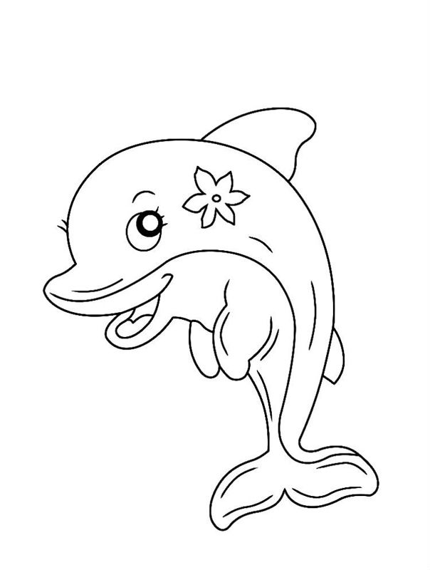 Delfini