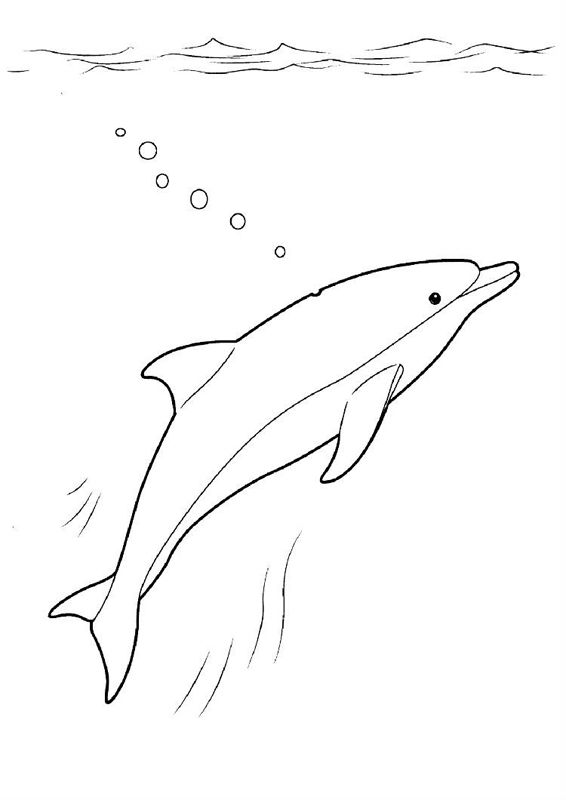 Delfini