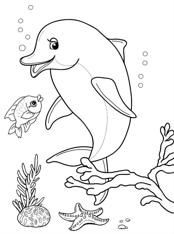Delfini