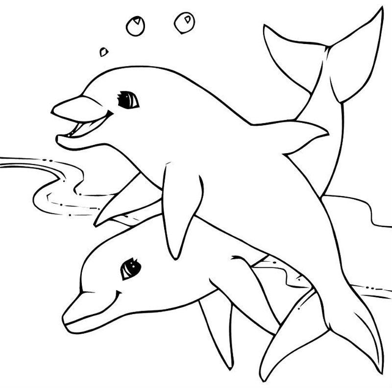 Delfini