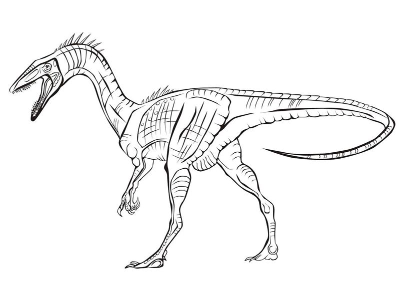 Dinozauri