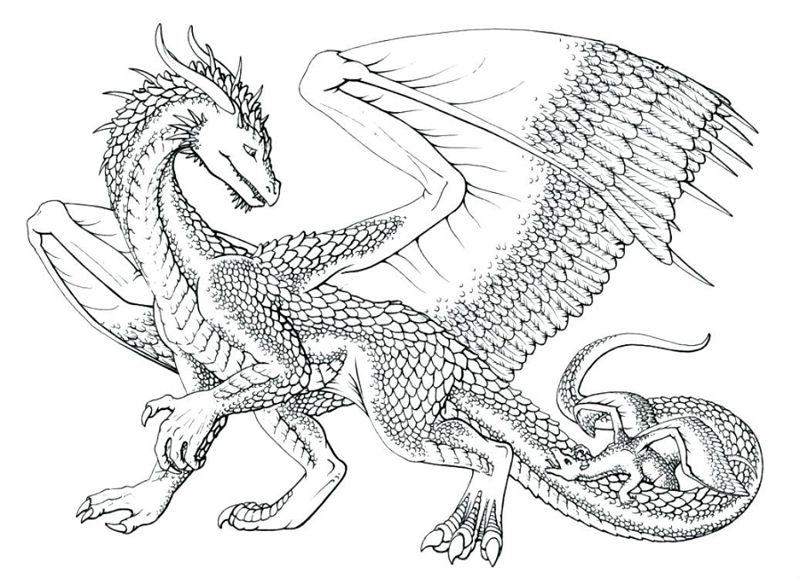 Dragoni