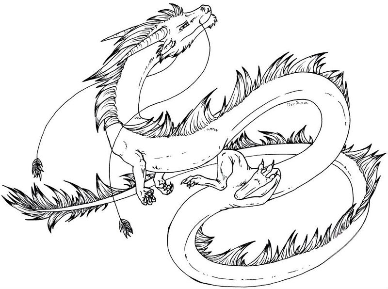 Dragoni
